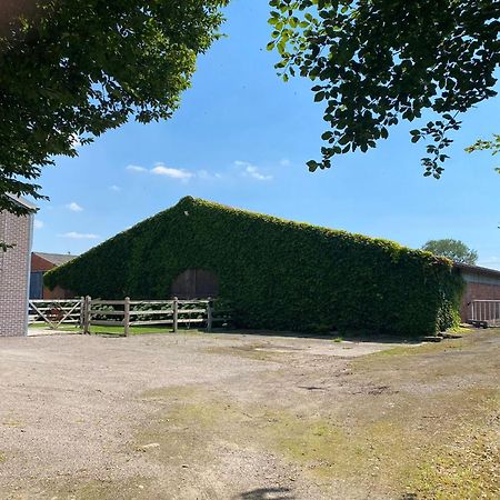 B&B De Vlierbeek Sint-Niklaas Buitenkant foto