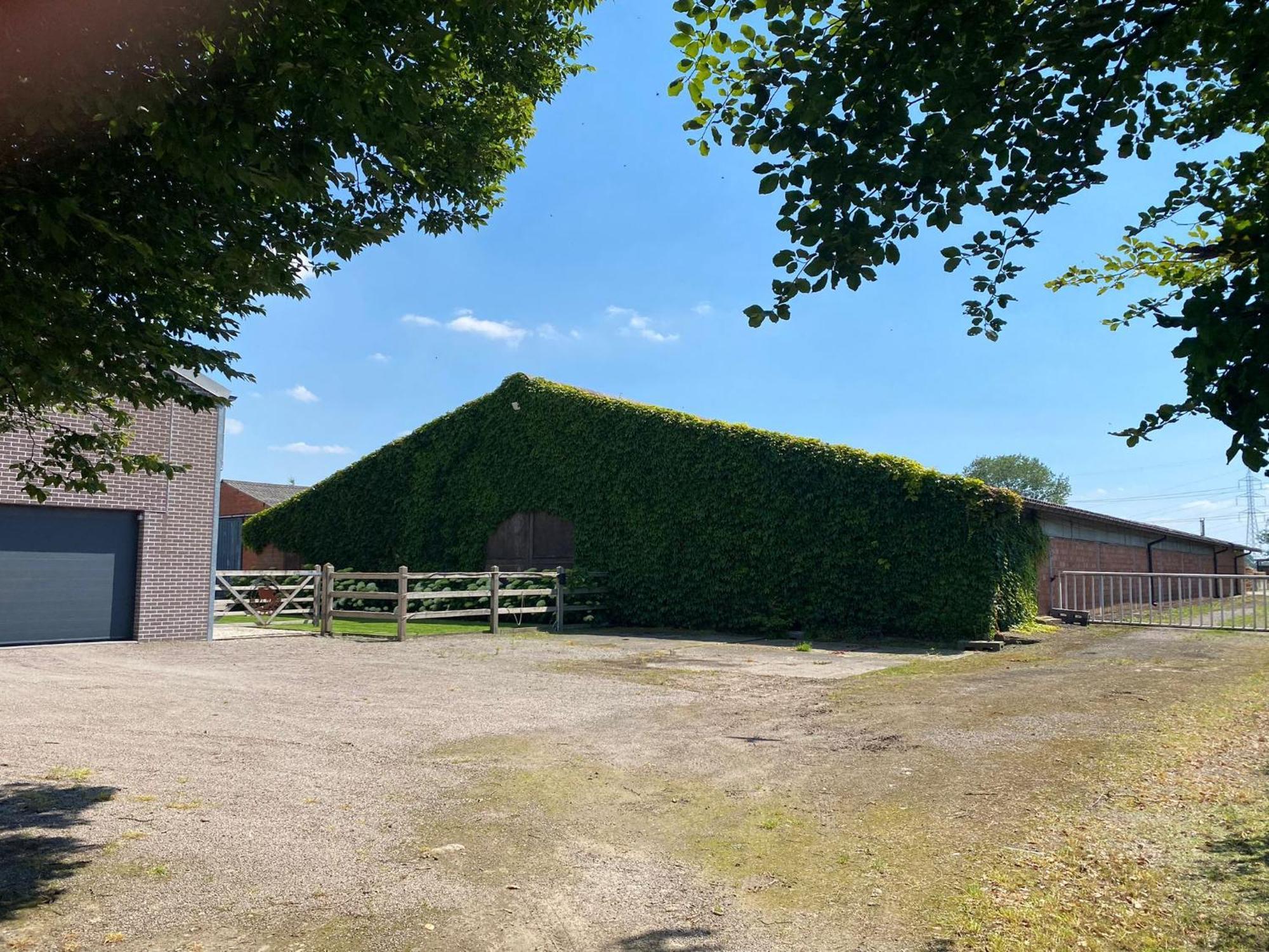 B&B De Vlierbeek Sint-Niklaas Buitenkant foto