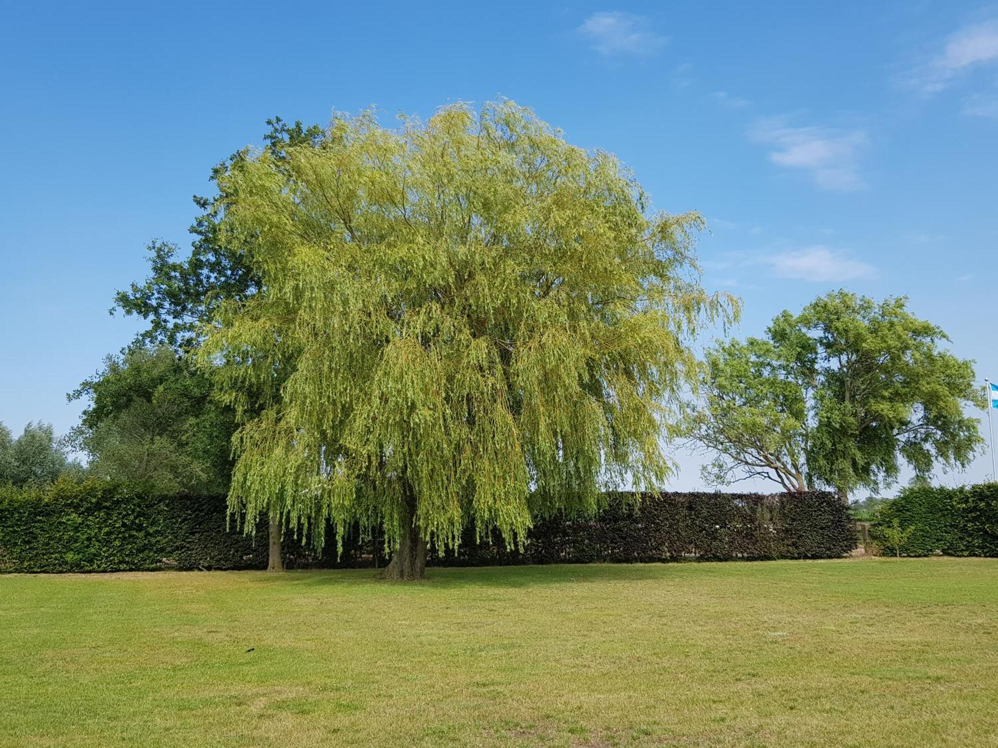 B&B De Vlierbeek Sint-Niklaas Buitenkant foto
